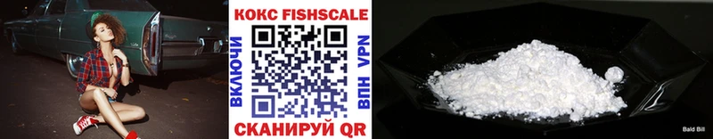 купить наркотик  Западная Двина  ОМГ ОМГ маркетплейс  Cocaine FishScale 