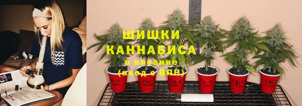 соль ск Нягань