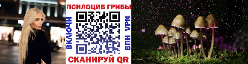 Галлюциногенные грибы Psilocybine cubensis  Западная Двина 